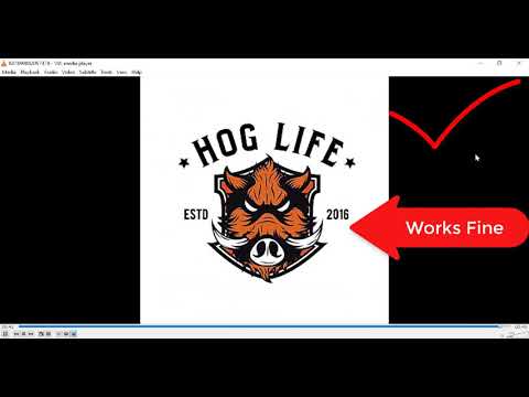 [Latest 2017] Download facebook, twitter videos on PC,mac(including private videos)