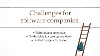 Remove Software Defects - Ivesia Software Testing Company