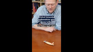 Oxford University mathematician spins some turtles 🐢 #OxfordUni