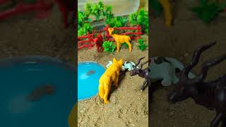 Cow save mini cow science project - mini cow care video #cow