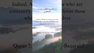 Divine Affection: Allah's Love for the Repentant and Purified #alhamdulilah #quotes #allah #love