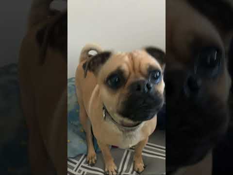 dont check the sound lol