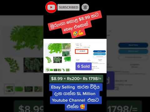 මුරුංගා කොළ රට යවලා සල්ලි හොයන ව්‍යාපාරය | Best Selling Directshipping item on ebay 2021 #shorts 10