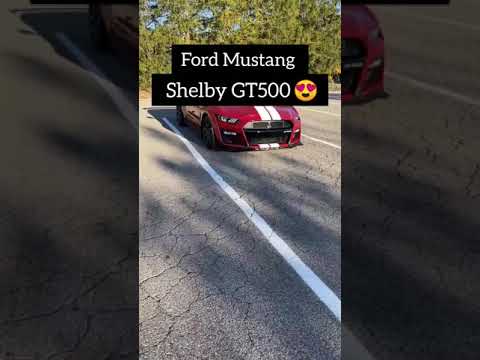 Ford Mustang Shelby GT500 😍 #shelby #mustang2023 #supercars #ford #lamborghini
