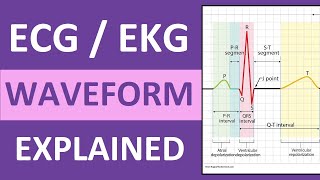 ECG Waveform Explained and Labeled | ECG Interpretation Nursing NCLEX