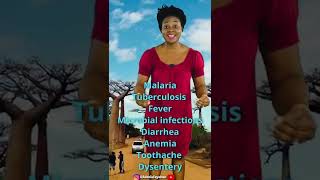 The Majestic Baobab Tree Of Africa That Cures Diseases! 👏