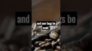 Wise Programming Quotes from my Sifu #ai #programming #codingfun #shorts