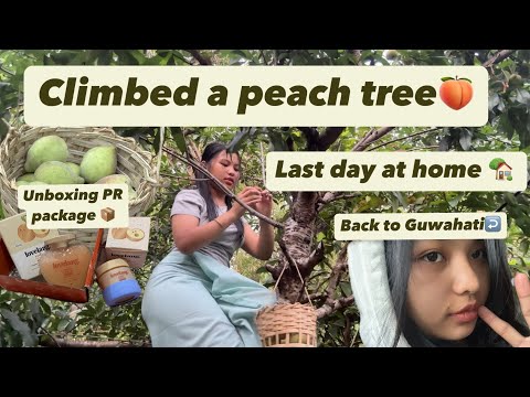 Climed a peach tree🤪🍑Last day at home🏠| what so you call peaches in your language ?🍑