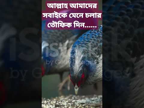 part-2 #viral #viral_video #bangladesh #banglawaz #mizanur_rahman_azhari #mahfil #banglawaz #waz