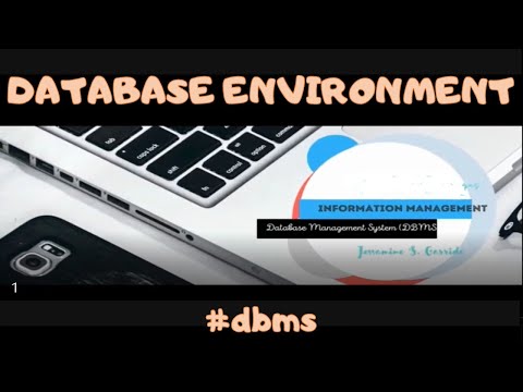 Why You Should NEVER use a Database Environment
