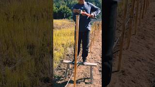 #agritools #farmer life #tonglufeng #agriculture #agritool #youtubeshorts #viral