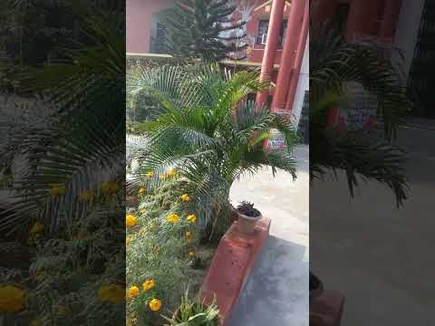 positive mind for everyone #