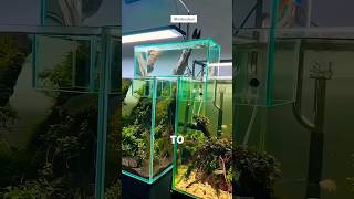 Science Made Life Easy