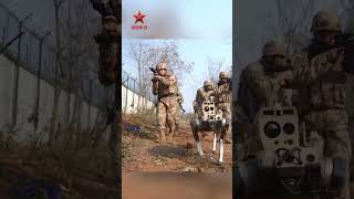 Robot dogs team up with Chinese soldiers, boosting combat capabilities.