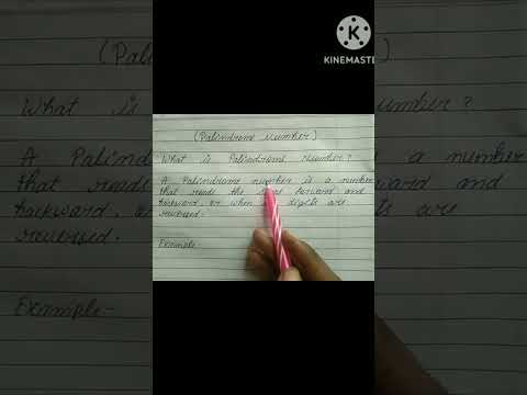 What is Palindrome Number | with example | Techcoding