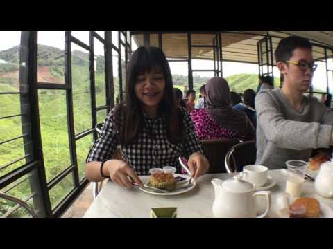 Kerryn travels to Genting + Cameron Highlands