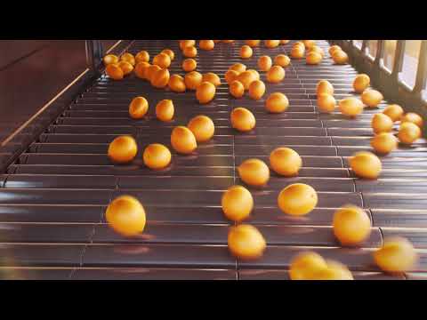 C.G ADVERTISING VRAY - FINAGRICOLA SCHOOL
