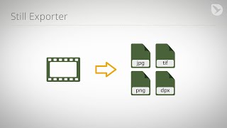 Still Exporter Quick Overview