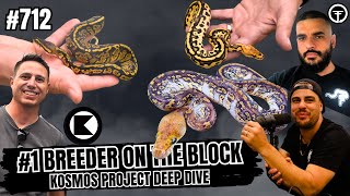 Update On The Kosmos Ball Python Gene & What Breeders Are REALLY Saying