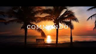 DJ FUNKY NIGHT!!! Mapopo Syalala - Commando - Regin Rhythm Remix 2023