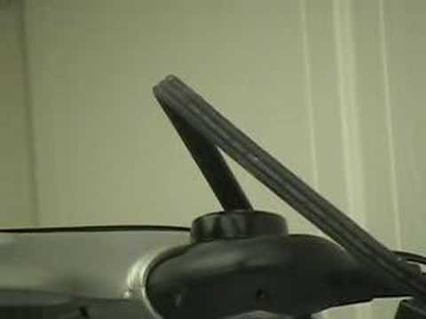 Rocky eating a Wire