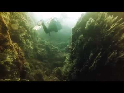 Els Ullastres - Llafranc