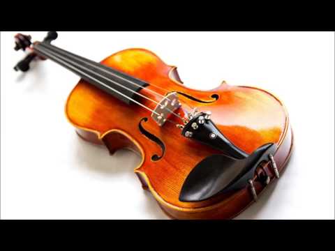 Misure di accompagnamento 2015/2016 - Musichetta violino