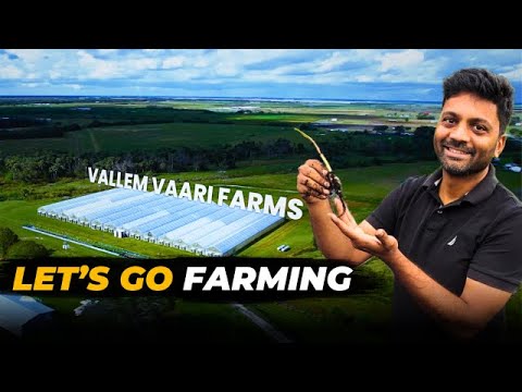Let's Go Farming With Vallem Vaari Farms
