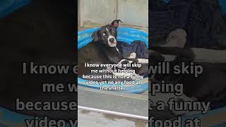 I know there may be controversy about my last post, so here’s video #usa #rescue #canada #viral #uk