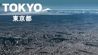 How Did Tokyo Become The Largest City On Earth?