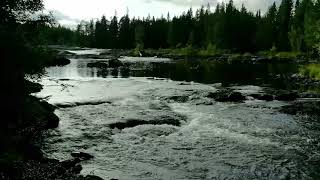 Beautiful River Landscape Sounds Relaxing Flowing Water | For Sleep, Rest and Concentration 1H