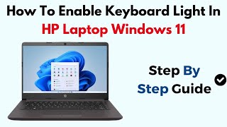 How To Enable Keyboard Light In HP Laptop Windows 11