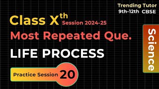 Life Process - Most Repeated Questions for CBSE 2025 | Class 10th | Trending Tutor