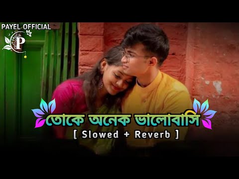 Toke Onek Valobashi Bangla Romantic Lofi Song || তোকে অনেক ভালোবাসি || [ Slowed Reverb 🎧|