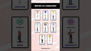 🤓🔥👉Web dev as human body: every part matters.#WebDevelopment #CodingLife #programming