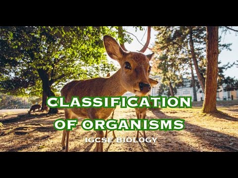 Classification of Organisms Biology