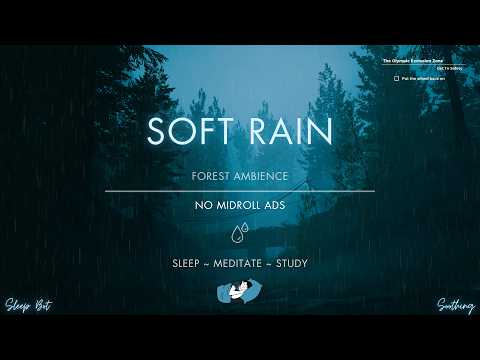 Soft Rain On A Misty Forest Road | No Ads | Soothing Rain Sounds For Sleeping