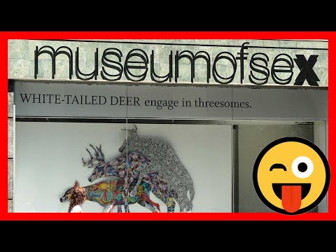 My Awesome Trip To New York City (New York Memes 2019-2020)