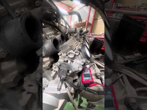 Hornet s tps adjustment