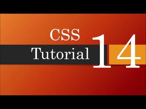 CSS Tutorial for Beginners   -14  CSS margin