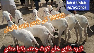 Kot Chutta bakra Mandi DGKhan update 2021.Qurbani2021.Rajan  puri bakry.Goat market Pakistan.kajly