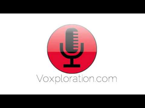 Voxploration Sample4