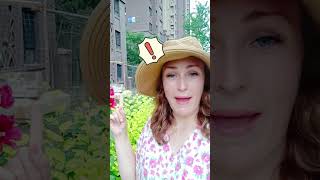 Reasons why I love living in China #1 #livinginchina #chinavlogs #china