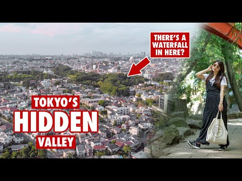 Tokyo's HIDDEN Valley | Todoroki Ravine Park
