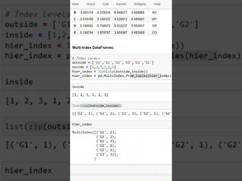 How to create a Multi Index Dataframe in Python | Mar 2025