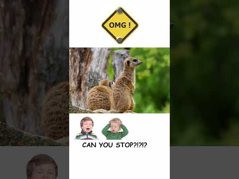 #stop #omg #shorts #motivation #todayshorts