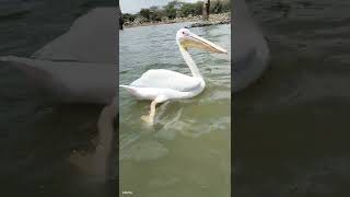 our planet