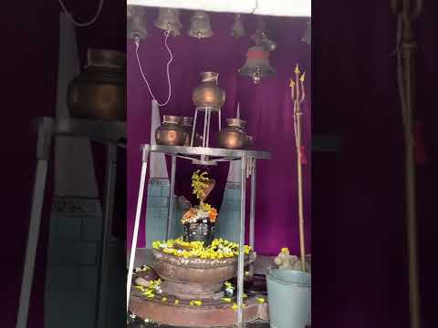 Shiv songs. Mai bhola parwat  ka.           Baba Vishwanath Temple Kannauj