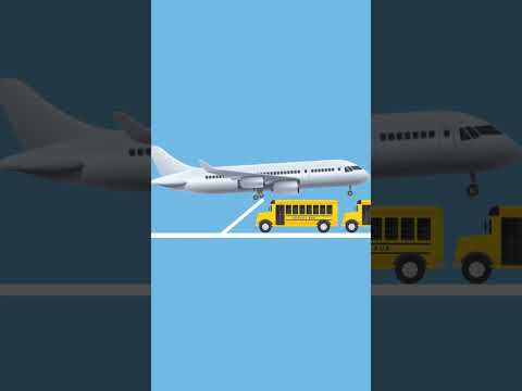 Which one will make it over 3 school buses? #shorts #quiz #guessingame