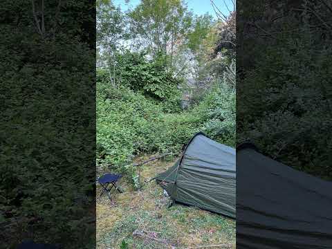 👍🏻👌⛺️#stealthcamp #getoutdoors #youtubeshorts